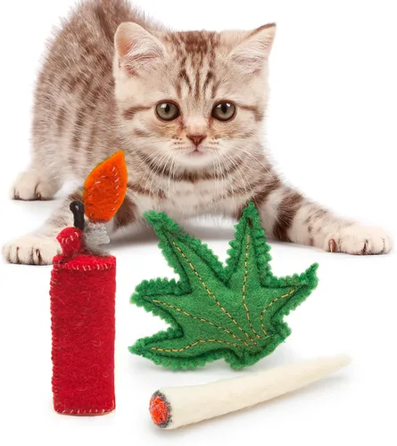 Miniatura 6 de Glaciart One Juego de juguetes para gatos con hierba gatera, hojas y encendedor Grieta de gato para gatitos divertidos, juguetes estimulantes