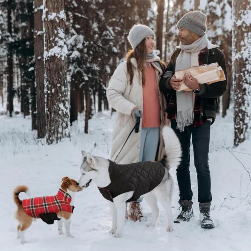 Miniatura 7 de Kuoser - Abrigo impermeable de invierno para perro, chaqueta reversible estilo británico, ropa para perro a cuadros, abrigo acogedor para perros