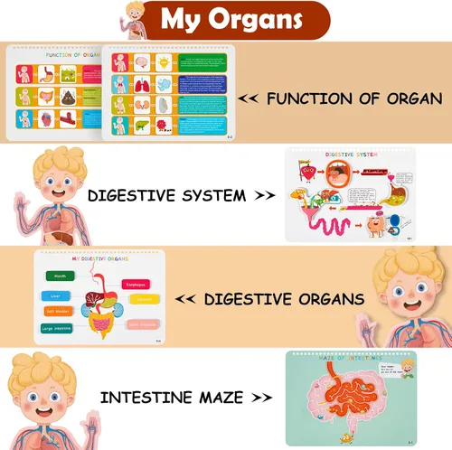 Miniatura 5 de Freebear Libro Ocupado Montessori para Niños, Libro de Anatomía del Cuerpo Humano para Niños Pequeños, Actividades de Aprendizaje Preescolar