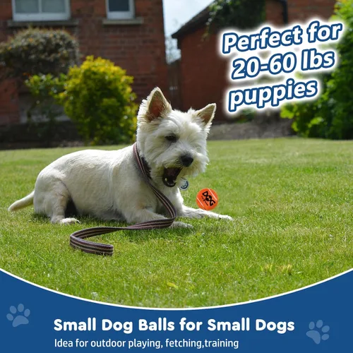 Miniatura 4 de INSUM Paquete de 20 pelotas de tenis pequeñas para perros, pelotas chirriantes de 2 pulgadas con bolsa de malla, certificado SGS, duraderas,