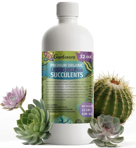 Miniatura 87 de GARDENERA Superalimento orgánico prémium de algas marinas y algas marinas para plantas AGLAONEMA, 8 onzas, concentrado de fertilizante líquido