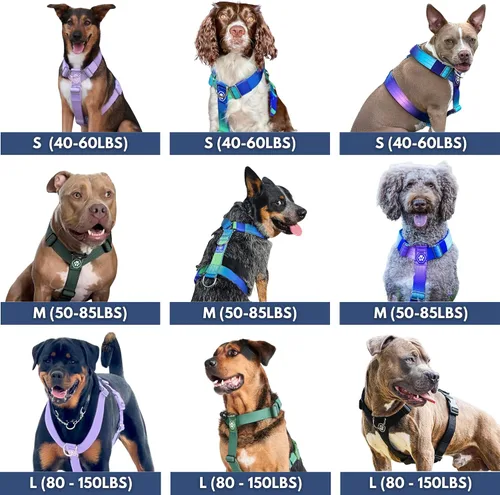 Miniatura 7 de Spark Paws Arnés para perro sin tirones con asa para perros grandes, arnés resistente para razas grandes y fuertes, ajustable, diseño halter