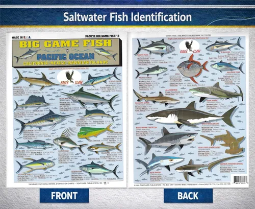 Miniatura 2 de Saltwater Fish Identification Chart #1 - Waterproof Quick Reference Fishing Guide - Species ID + Fishing Methods