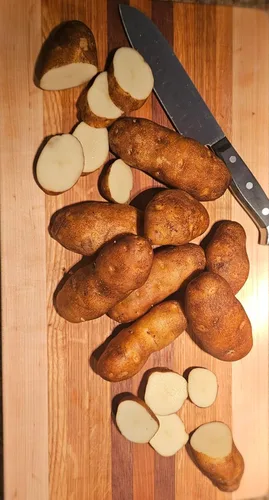 Miniatura 2 de Idaho Russet - Semilla de patata certificada Patatas enteras reales cultivadas en Estados Unidos, sin OMG, listas para cultivar 3 libras