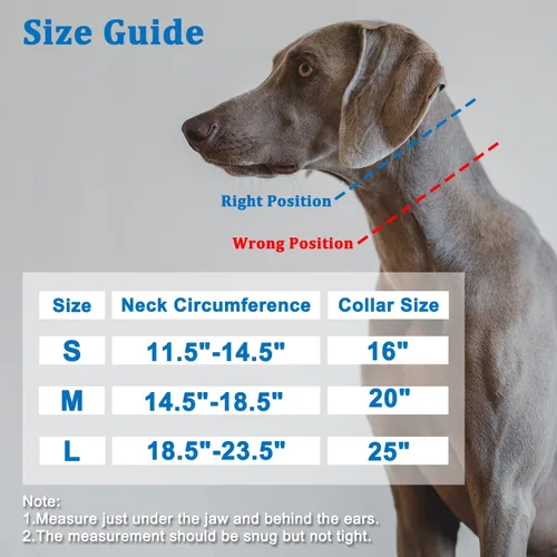 Miniatura 4 de Mayerzon Collar Martingale para perros, collar de perro antitirones con tira reflectante para perros pequeños, medianos y grandes, collar de perro