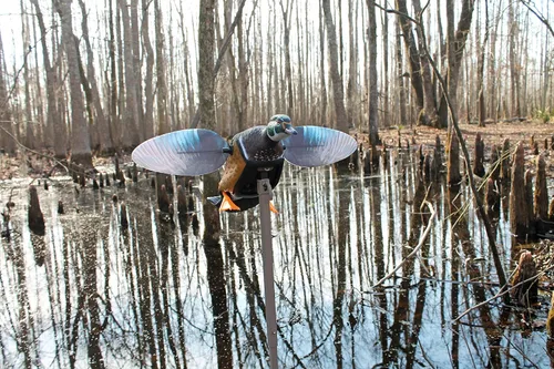 Miniatura 6 de MOJO Outdoors - Premium Waterfowl and Duck Hunting Decoys