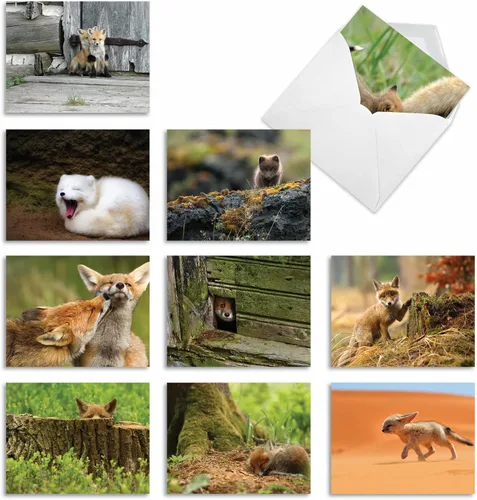 Miniatura 11 de The Best Card Company - Tarjetas de animales en blanco en caja, 4 x 5.12 pulgadas, mascotas surtidas, zoológico, tarjetas de vida silvestre
