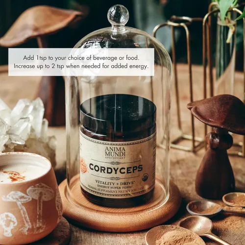 Miniatura 2 de Anima Mundi Apothecary Cordyceps - Polvo de hongos Cordyceps orgánico real - Suplemento para el hígado y el apoyo inmunológico - Añadir a alimentos