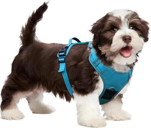Miniatura 13 de Arnés para perro sin tirones con soporte para Airtag para perros de tamaño mediano, ajustable, a prueba de escapes, sin estrangulamiento y chaleco