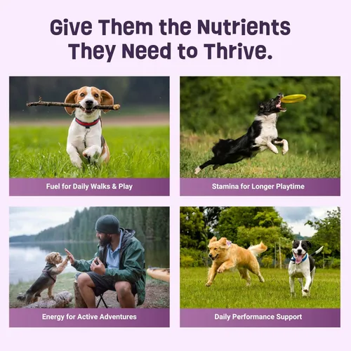 Miniatura 8 de Golosinas orgánicas para perros para el bienestar diario, sabor a mantequilla de maní con superalimentos, alto contenido de proteínas y omega-3