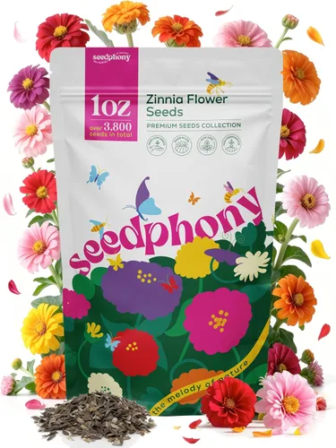 Miniatura 13 de Seedphony Paquete de semillas de equinácea de 1 onza – 9,300 semillas de equinácea sin OMG para plantar, flores perennes en paquete de semillas