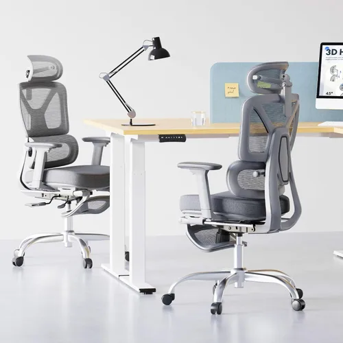 Miniatura 2 de FLEXISPOT ErgoX - Silla de oficina ergonómica de alta calidad con reposapiés, reposabrazos 3D ajustables, soporte lumbar dinámico, función Cloudtech