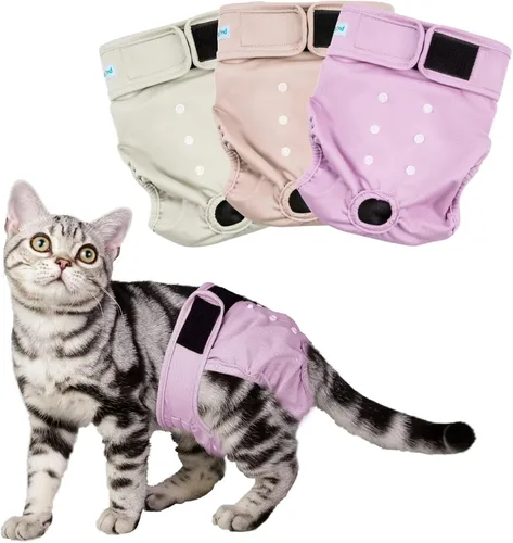 Miniatura 9 de Paw Legend Pañales para gatos hembras, lavables, reutilizables, pañales para gatos para incontinencia, pañales para mascotas (paquete de 3, mediano)