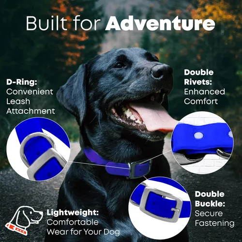 Miniatura 2 de Collar impermeable para perro con anillo central resistente Collar para perros pequeños, medianos, grandes o XL, Azul Azul / Patchwork
