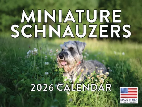 Miniatura 175 de Calendario de pared mensual 2025 Great Dane de 12 meses, fabricado en Estados Unidos