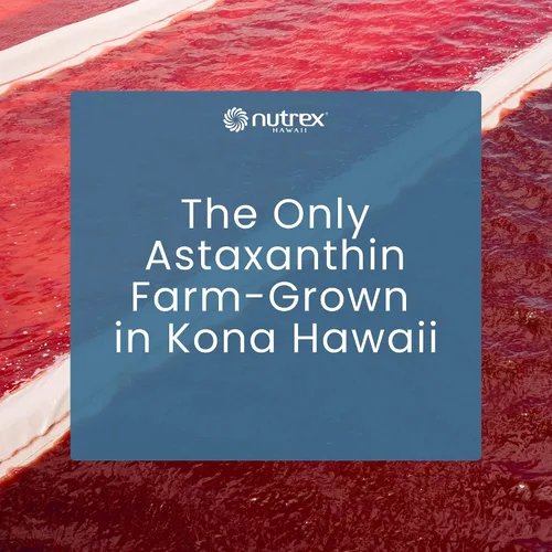 Miniatura 8 de Nutrex Hawaii BioAstin Astaxantina hawaiana - 4 mg, 120 cápsulas blandas - Suplemento antioxidante premium Farm-Direct para apoyar la salud