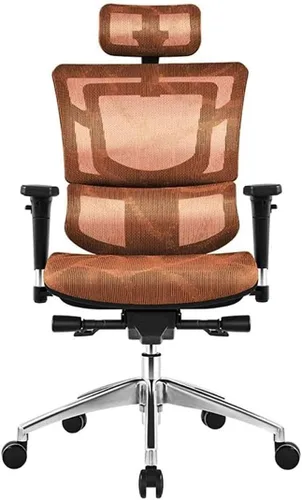 Commercial Ergonomic High Back Executive Mesh Chair, with Adjustable Lumbar Support, Headrest and 3D Armrests Configure Chassis Functions(A)