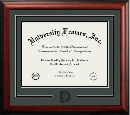 Miniatura 91 de Marco de Diploma Spirit NCAA