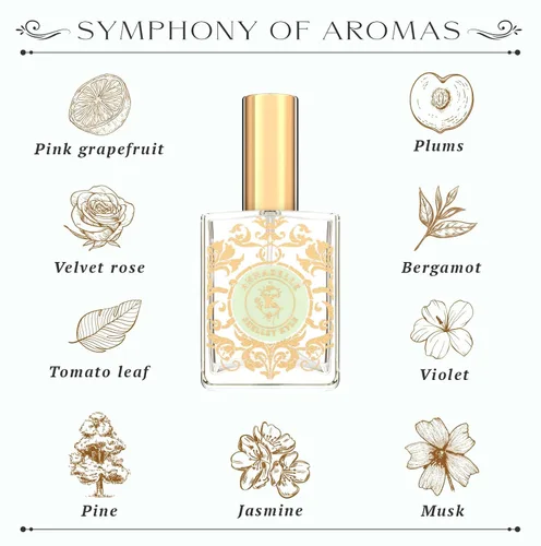 Miniatura 4 de Shelley Kyle Descubre fragancias exquisitas con perfume de mujer de tamaño de viaje. Descubre aromas encantadores y tease, además del perfume floral