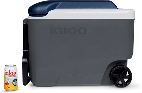 Miniatura 3 de IGLOO Maxcold