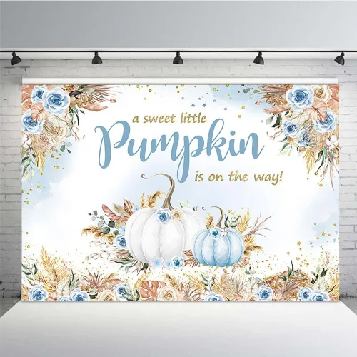 MEHOFOND Telón de fondo bohemio de otoño para baby shower, de 7 x 5 pies, una calabaza dulce está en camino, fondo de calabaza para niños, acuarela