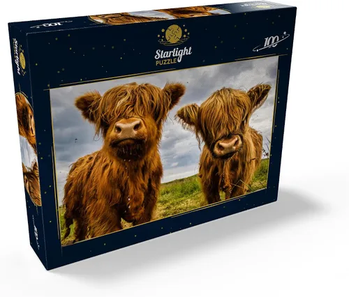 Miniatura 2 de MyPuzzle Two Highland Cows - Rompecabezas prémium de 100 piezas para adultos