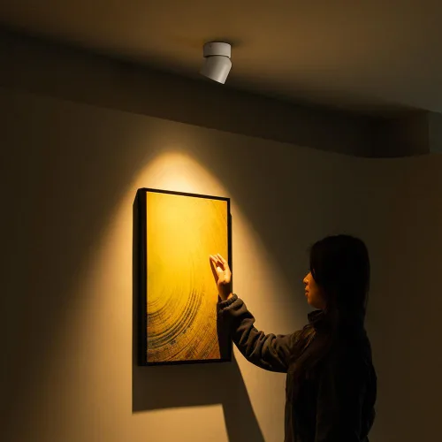 Miniatura 7 de Aisilan Luz LED de Techo Blanca para Interiores 9W Luminaria Montada en Superficie con Foco Giratorio de 360°, Regulable Blanco Cálido 3000K CRI 97+