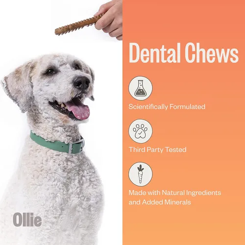 Miniatura 2 de Ollie Masticables dentales para perros grandes, 12 onzas, aliento fresco, golosinas de limpieza de dientes, palos para el cuidado bucal del perro