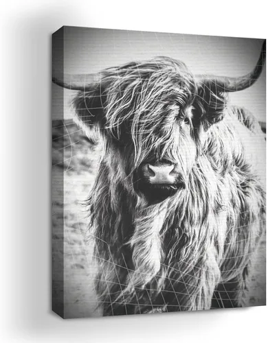 Miniatura 28 de Mavis Print - Lienzo decorativo para pared con diseño de conejo/conejo, 36 x 36 pulgadas, decoración de pared de animales impresos en HD y marco