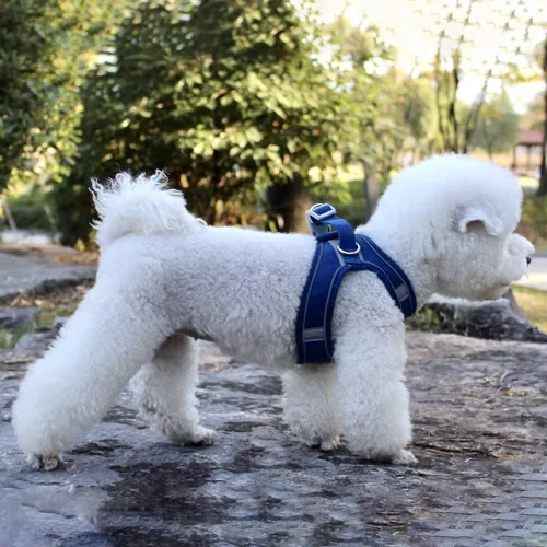 Miniatura 6 de Juego de arnés y correa para perro con correa para el pecho para mascotas, arnés reflectante ajustable para perros pequeños, medianos y gatos, azul