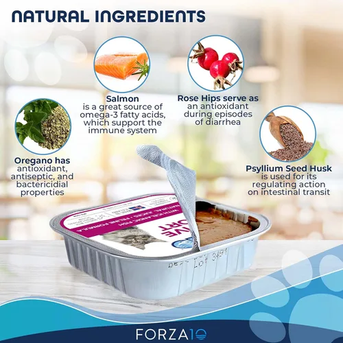 Miniatura 4 de Forza10 Alimento húmedo para gatos, sabor a pescado y salmón, alimento húmedo para gatos adultos con problemas gastrointestinales y digestivos