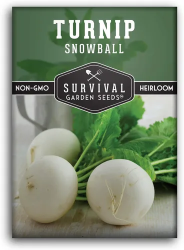 Semillas de nabo para plantar | Snowball White Variedad Heirloom No OGM | Vegetal de raíz de temporada fresca para jardines de otoño y primavera,