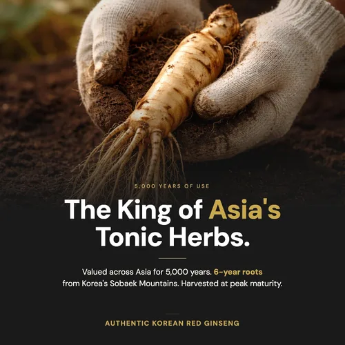 Miniatura 5 de Barras de extracto de ginseng rojo coreano de 1,500 mg Líquido de ginseng listo para beber Raíz de 6 años Sin azúcar Hecho en Corea
