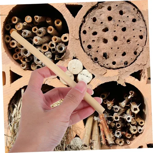 Miniatura 7 de HANABASS 100 piezas de tubos de repuesto para tubos de anidación de repuesto, tubos de casa, herramienta de apicultor para abejas masoneras, tubos