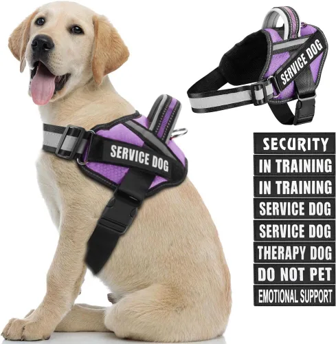 Miniatura 21 de Juego de arnés y parches para chaleco de perro, arnés para perro de servicio en entrenamiento Animire con 10 parches para perros, chaleco Rosa
