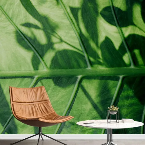 Miniatura 14 de wall26 serie Wall Mural Papel de empapelar autoadhesivo, grande., WMR-WP-X-D986-66x24x4
