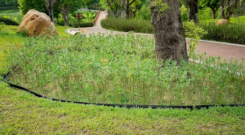 Miniatura 9 de Kit de bordes de paisaje, bordes de jardín de 30 pies y 2 pulgadas de alto con 27 estacas de borde, bordes de goma para paisajismo, cama de flores