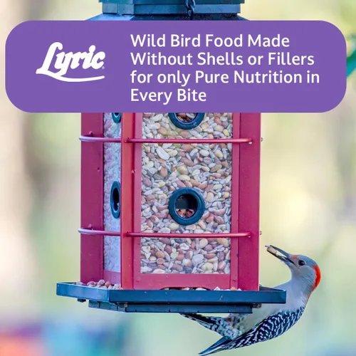 Miniatura 9 de Lyric Delite Semillas de aves silvestres – Mezcla de alimentos para pájaros sin desperdicios con nueces y semillas sin cáscara – Atrae banderines