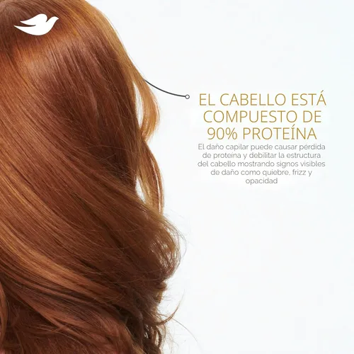 Miniatura 8 de Dove Champú de Reparación Intensiva para Cabello Dañado con Tecnología de Cuidado de Bio-Proteínas y Suero Amino 28 Fl Oz