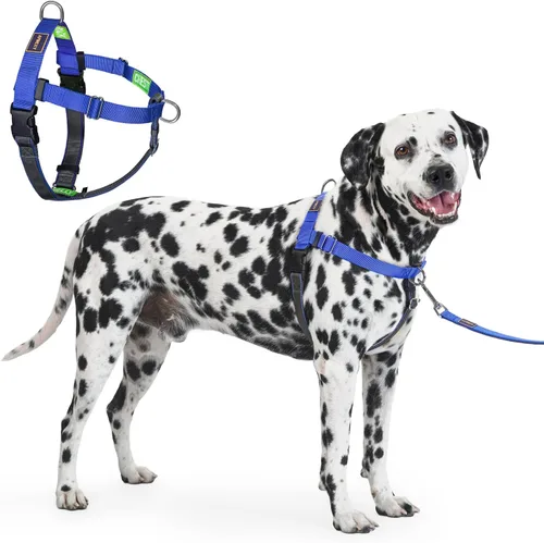 Miniatura 8 de Freedom - Arnés para perro sin tirones, fácil de caminar, deja de tirar con dos anillos en D de acero inoxidable, cómodo, etiquetas de instrucciones