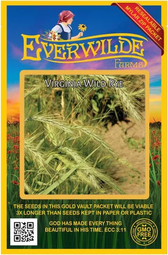 Everwilde Farms - 500 semillas de hierba nativa de centeno silvestre de Virginia - Paquete de semillas jumbo Gold Vault