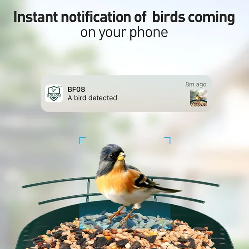 Miniatura 2 de SOLIOM Comedero inteligente para pájaros con cámara para exteriores, casa de pájaros solar de metal duradero, vista en vivo en 2K y alertas Conjunto