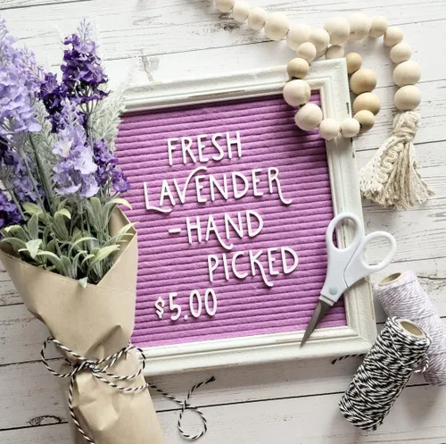 Miniatura 8 de Letrero de fieltro morado para el regreso a clases con marco blanco de madera rústica, letrero de tablero de letras de granja con soporte, mensaje
