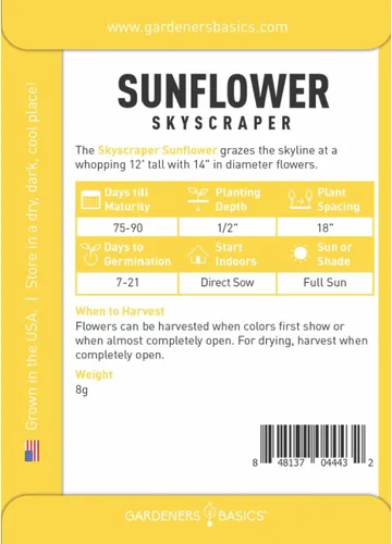 Miniatura 2 de Semillas de girasol gigantes para plantar flores: (rascacielos) es una variedad de flores solares de polinización abierta, sin OMG, semillas