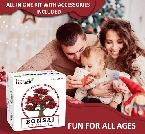 Miniatura 4 de Kit de árbol bonsái – Cultiva 5 especies de árbol bonsái con nuestro kit de plantas todo en uno: macetas de bonsái y pellets de turba, incluyendo un