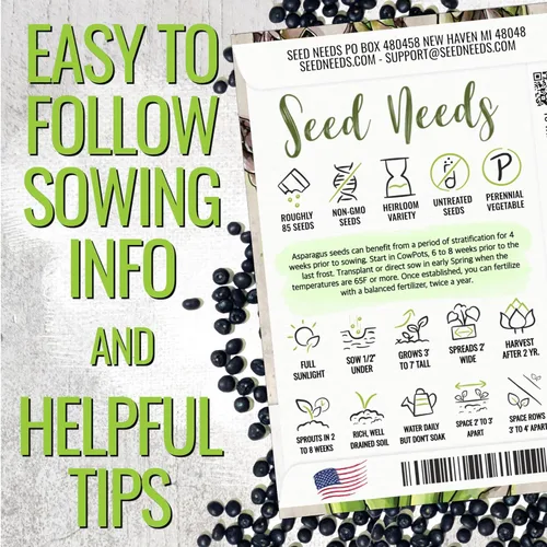 Miniatura 4 de Seed Needs Semillas de espárragos para plantar espárragos Mary Washington, semillas de vegetales perennes sin OMG y sin tratar para plantar un