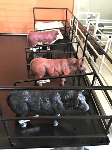 Miniatura 4 de Little Buster Toys Angus Bull Figura de ganado Angus negro a escala 1:16 Exhibición realista de granja y rancho Regalo de coleccionista listo