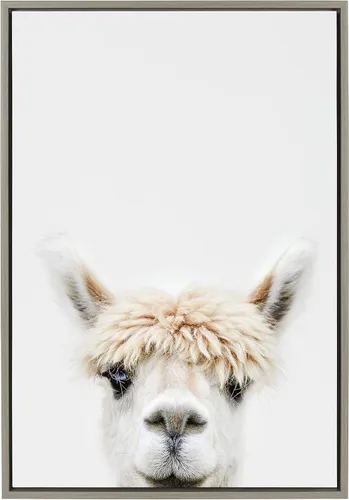 Kate and Laurel Sylvie Alpaca Bangs - Lienzo enmarcado para pared, diseño de Amy Peterson Art Studio; 23 x 33 pulgadas, color gris; arte decorativo