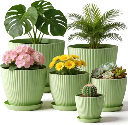 Miniatura 8 de RooTrimmer Macetas de Plástico Engrosado Negro de 7.5 Pulgadas con Platillos, Paquete de 6 Maceteros Modernos para Plántulas para Plantas