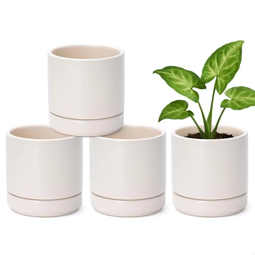 Miniatura 9 de D'vine Dev Juego de 4 macetas pequeñas de cerámica, maceta para suculentas de 3.5 pulgadas para plantas con orificio de drenaje y platillo